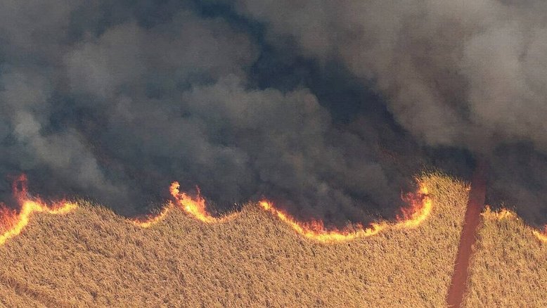 Dino dá 15 dias para governo Lula intensificar combate a incêndios no Pantanal e na Amazônia