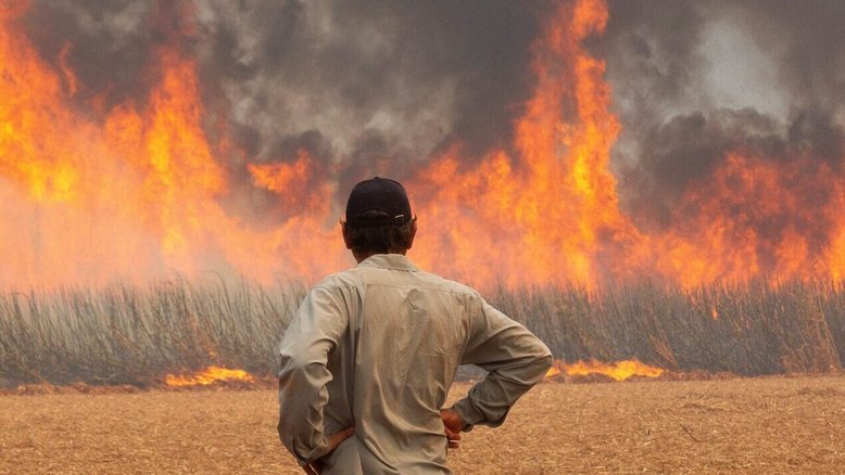 Governo Tarcísio investe apenas R$ 3,3 milhões em rubrica destinada para operação de prevenção a incêndios florestais