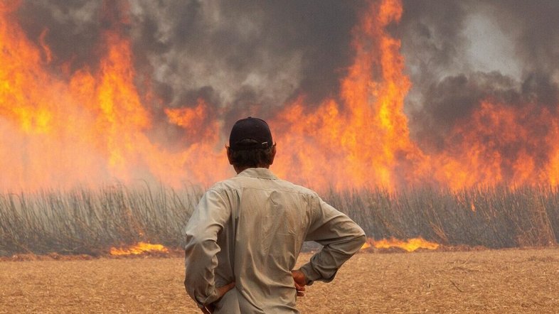 Com 39°C e risco de incêndio, São Paulo tem alerta de perigo devido ao calor