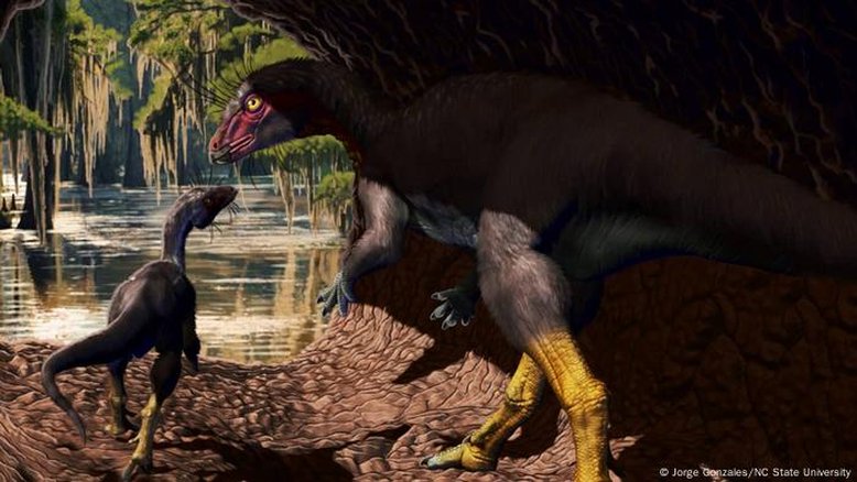 Fona herzogae: Conheça o dinossauro de 99 milhões de anos que vivia no subterrâneo