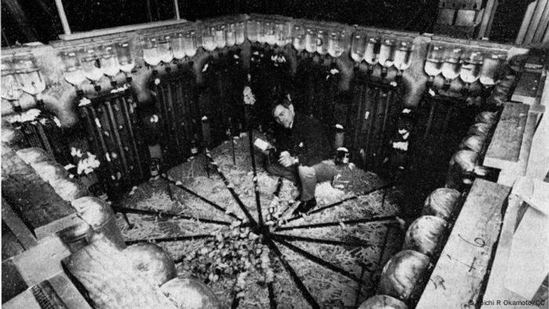 O que o apocalipse dos ratos Universo 25 ensina à humanidade