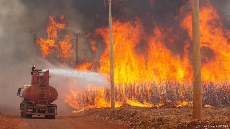 Defesa Civil diz que ação humana causou 99,9% dos incêndios em SP