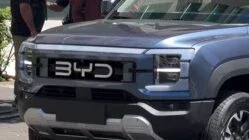 bydfrente