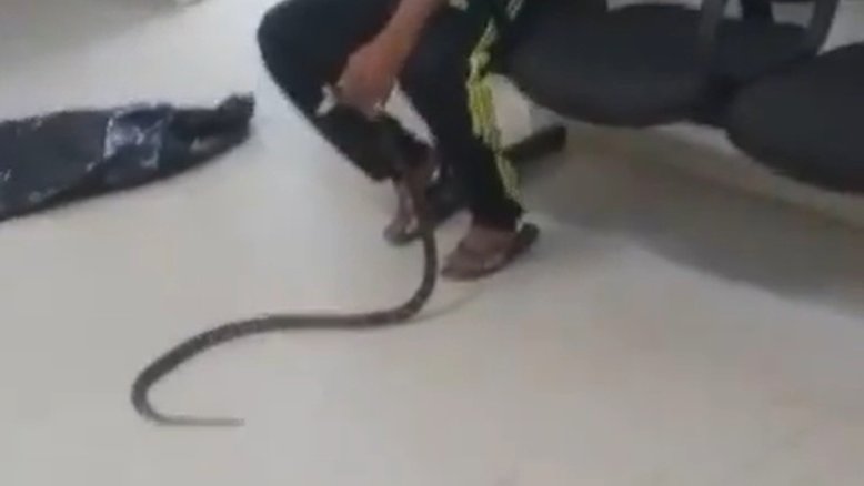 Reprodução/Redes Sociais
