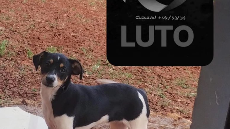 Reprodução/Redes Sociais