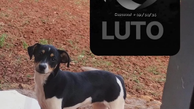 Reprodução/Redes Sociais
