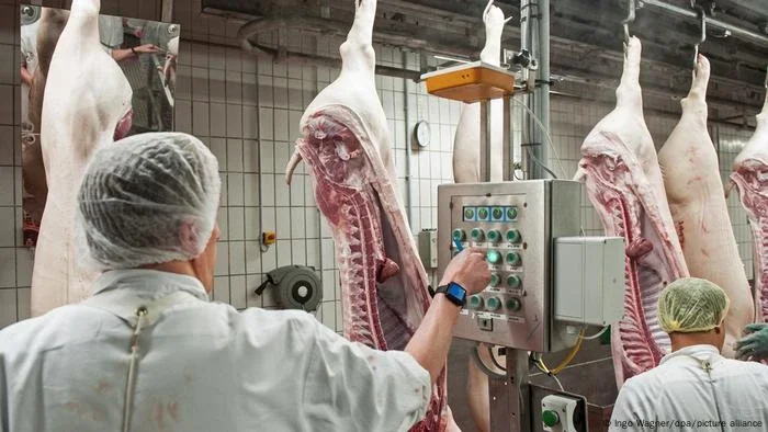 Lobby agrícola apoia redução do consumo de carne na UE