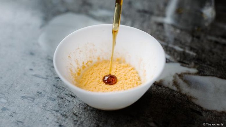 O fungo que pode revolucionar a gastronomia e o combate ao desperdício de alimentos