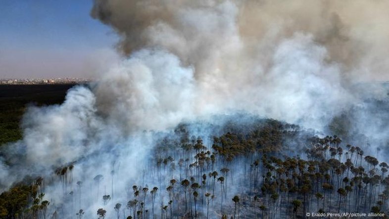 Brasil vive maior seca em décadas e registra 21 milhões de hectares queimados