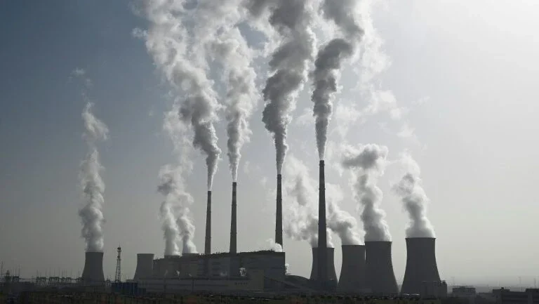 Especialistas apontam longo caminho pela frente para neutralidade de carbono