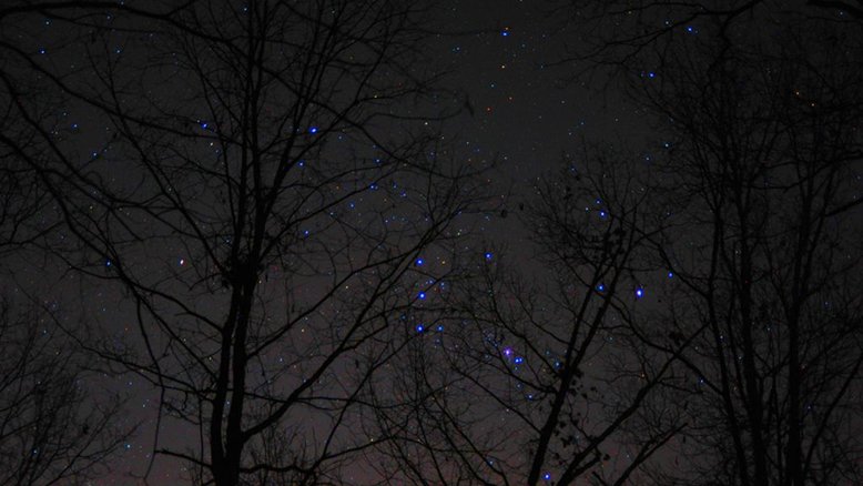 A Constelação de Órion, o Caçador, é uma das mais reconhecidas. Nesta paisagem noturna, registrada em dezembro de 2019, as suas estrelas surgem emaranhadas nas árvores perto de Newnan, Geórgia, nos EUA. A estrela supergigante vermelha Betelgeuse se destaca em tons amarelados, no ombro de Órion e à esquerda do centro. Localizada a cerca de 700 anos-luz do nosso belo planeta, ela contrasta com a estrela supergigante azul Rigel, aos pés do mítico caçador. Betelgeuse é uma estrela variável, mudando seu brilho em múltiplos ciclos, estando próxima ao fim da sua vida. Estima-se que ela passará por uma explosão de supernova, nos próximos 100 mil anos