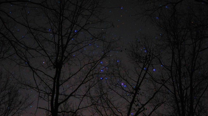 A Constelação de Órion, o Caçador, é uma das mais reconhecidas. Nesta paisagem noturna, registrada em dezembro de 2019, as suas estrelas surgem emaranhadas nas árvores perto de Newnan, Geórgia, nos EUA. A estrela supergigante vermelha Betelgeuse se destaca em tons amarelados, no ombro de Órion e à esquerda do centro. Localizada a cerca de 700 anos-luz do nosso belo planeta, ela contrasta com a estrela supergigante azul Rigel, aos pés do mítico caçador. Betelgeuse é uma estrela variável, mudando seu brilho em múltiplos ciclos, estando próxima ao fim da sua vida. Estima-se que ela passará por uma explosão de supernova, nos próximos 100 mil anos