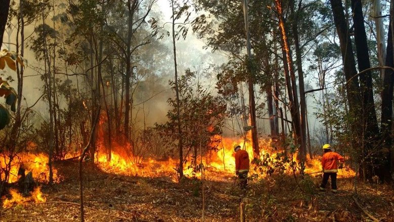 Bombeiros combatem o incêndio no Parque Nacional de Brasília