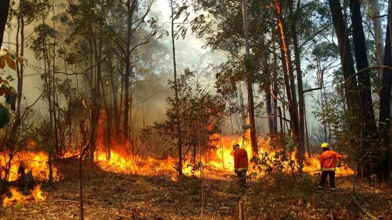 Bombeiros combatem o incêndio no Parque Nacional de Brasília