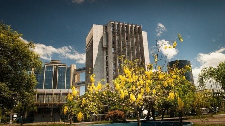 Juíza condena homem a 3 anos de prisão por surrar cães a chicotadas em Balneário Camboriú