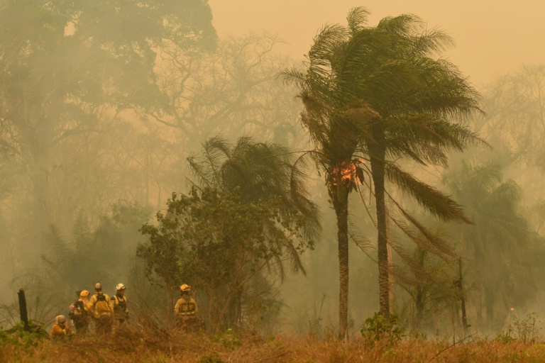 Bolívia decreta 'desastre nacional' por incêndios florestais