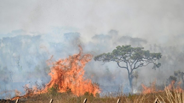 'Estamos tentando evitar o fim do mundo': Flávio Dino defende gastos com incêndios