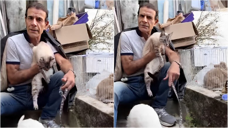 Mário Gomes nega ter abandonado seus pets após ser despejado de mansão