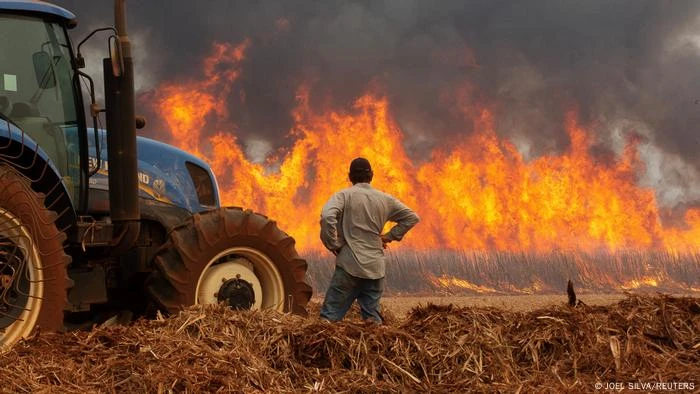 Devastação por incêndios cresceu 79% em 2024 no Brasil