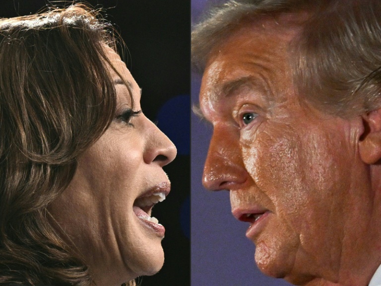 Kamala Harris e Donald Trump Michigan - AFP/Arquivos