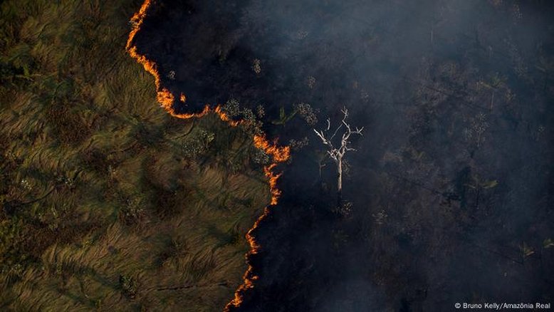 Como o Brasil controlou o desmatamento na Amazônia no passado