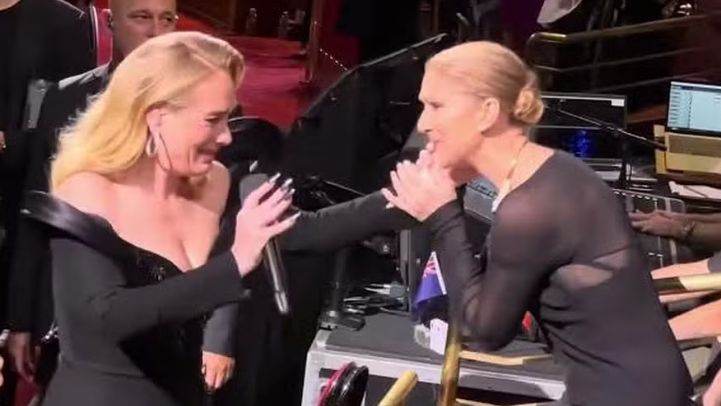 Adele chora ao ver Céline Dion na plateia de seu show; assista