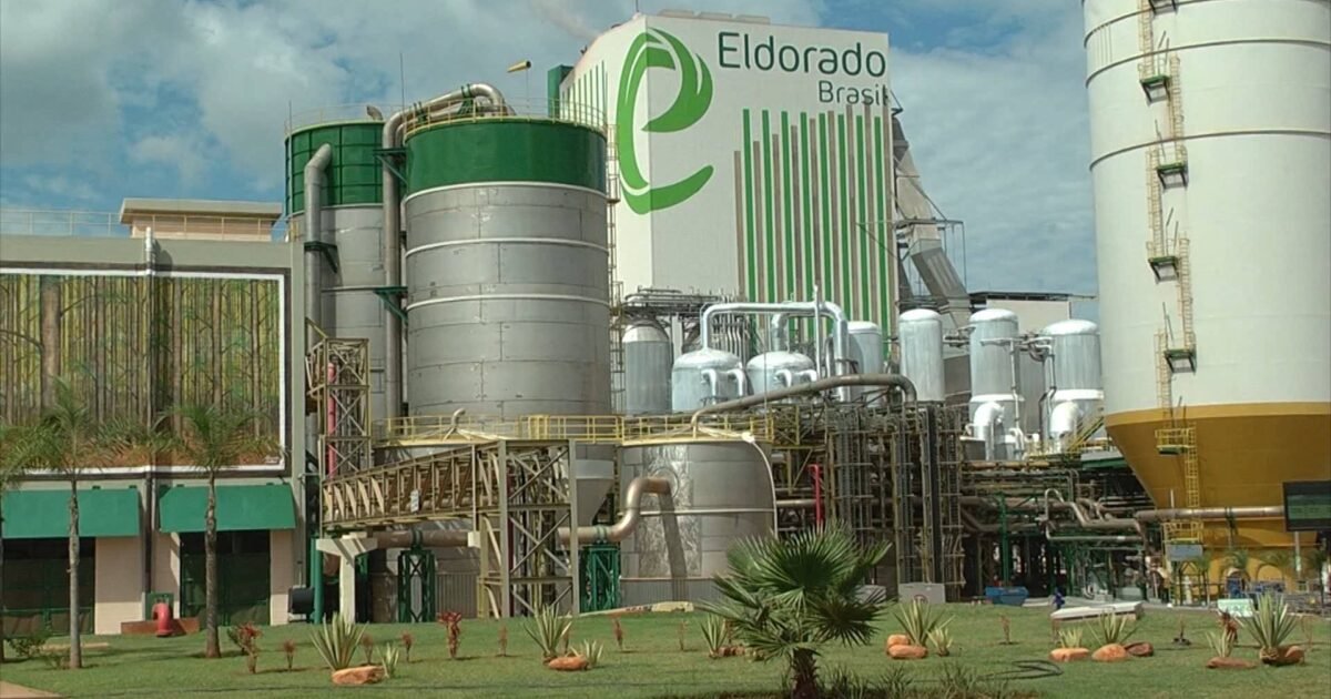 Cade nega pedido da Paper e mantém suspensão de direitos na Eldorado