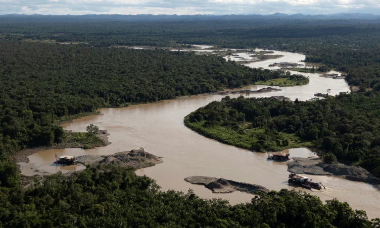 COP16, o encontro global na Colômbia para cumprir compromissos sobre biodiversidade