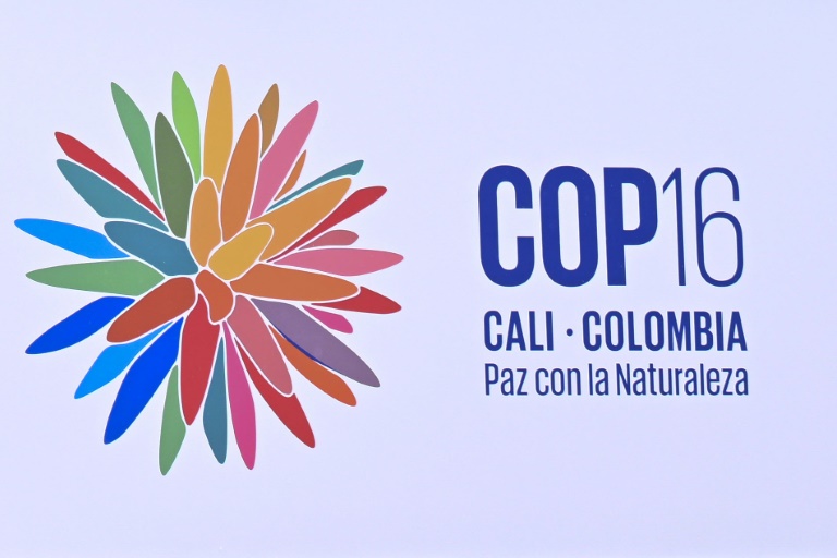 COP16 começa na Colômbia sob ameaça guerrilheira