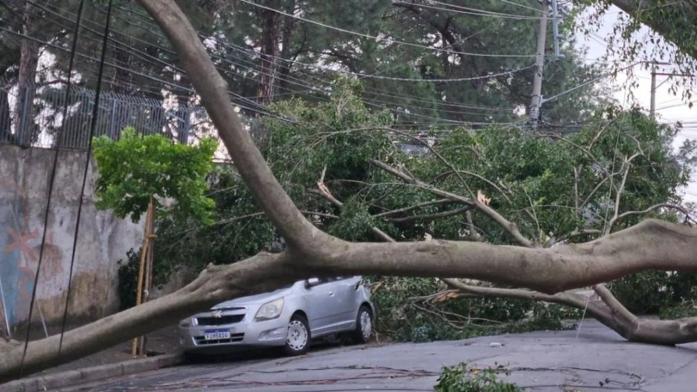 Sobe para cinco o número de mortos em temporal de São Paulo - ISTOÉ Independente