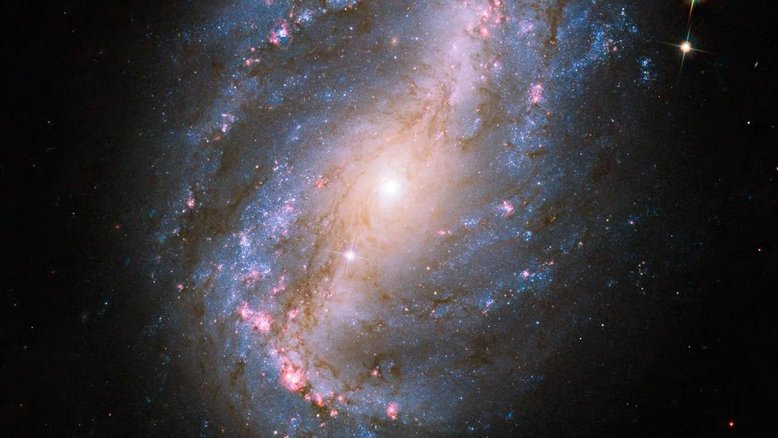 Esta imagem da galáxia espiral barrada NGC 6217 foi obtida por meio do instrumento chamado Advanced Camera for Surveys (ACS), a bordo do Telescópio Espacial Hubble. O registro foi concluído em julho de 2009, como parte dos testes e da calibração do ACS do Hubble. NGC 6217 fica a cerca de 60 milhões de anos-luz de distância, na direção da boreal Constelação da Ursa Menor, cujas estrelas circundam o Pólo Celeste Norte da Terra