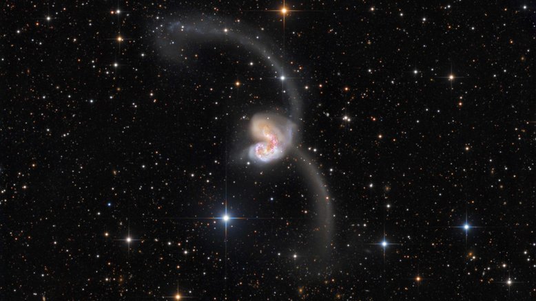 A cerca de 60 milhões de anos-luz de distância, na Constelação do Corvo, duas grandes galáxias estão em colisão. As estrelas das duas galáxias, catalogadas como NGC 4038 e NGC 4039, colidem muito raramente durante esse processo, que dura centenas de milhões de anos. Mas as grandes nuvens de gás molecular e poeira o fazem, desencadeando a formação de estrelas. Abrangendo mais de 500 mil anos-luz, esta imagem também revela novos aglomerados de estrelas e matéria lançada para longe do local pelas forças gravitacionais