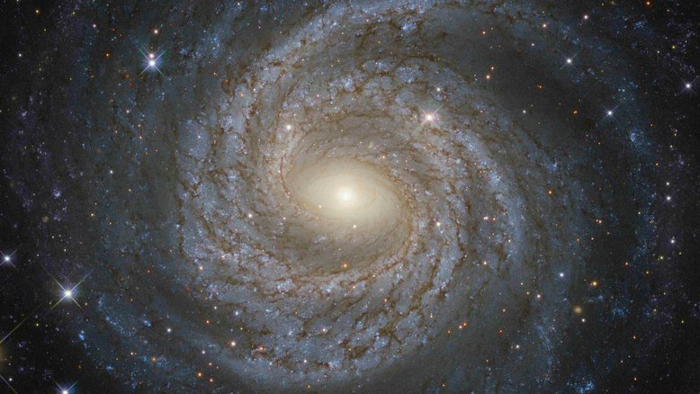 No centro deste belo e sereno redemoinho estelar está uma fera em forma de buraco negro. O redemoinho circundante envolve bilhões de estrelas que são destacadas pelas mais brilhantes e azuis. Nesta galáxia espiral de grande design, há um buraco negro supermassivo com cerca de 10 milhões de vezes a massa do nosso Sol. Ele devora estrelas e gás, sendo cercado por um fosso giratório de plasma quente que emite rajadas de raios-X. A atividade violenta central dá-lhe a designação de galáxia Seyfert. Catalogada como NGC 6814, esta galáxia fica a cerca de 75 milhões de anos-luz, na Constelação da Águia