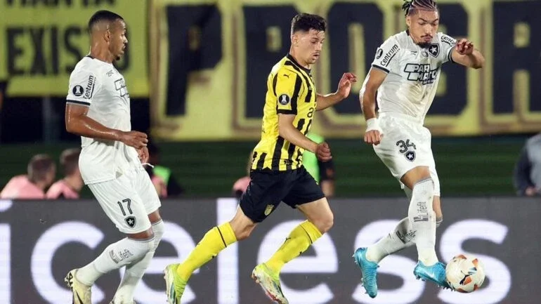 Botafogo durante o jogo