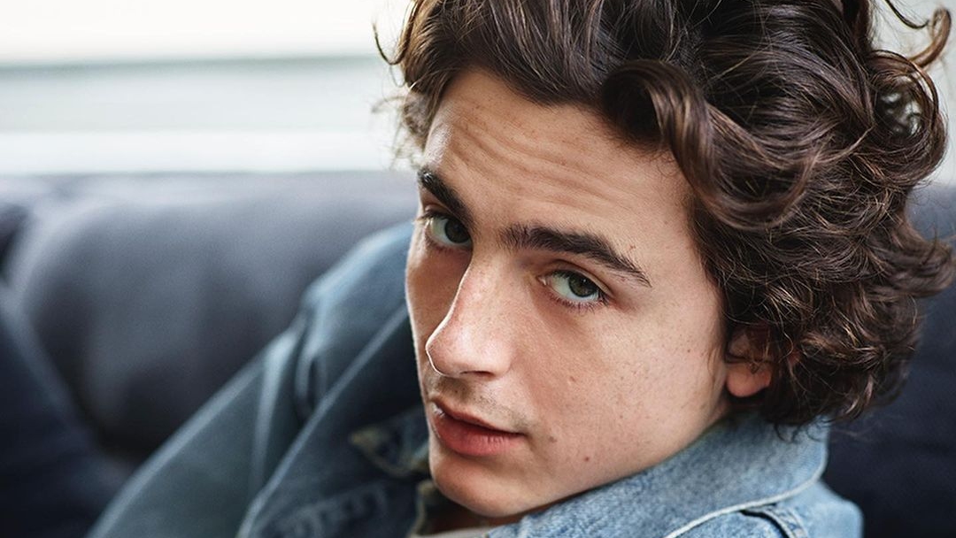 Timothée Chalamet