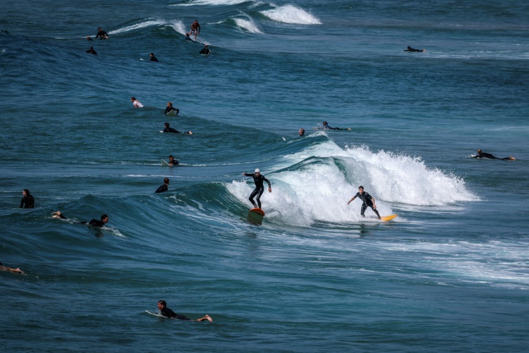 Luzes em pranchas de surfe podem evitar ataques de tubarões, afirma estudo