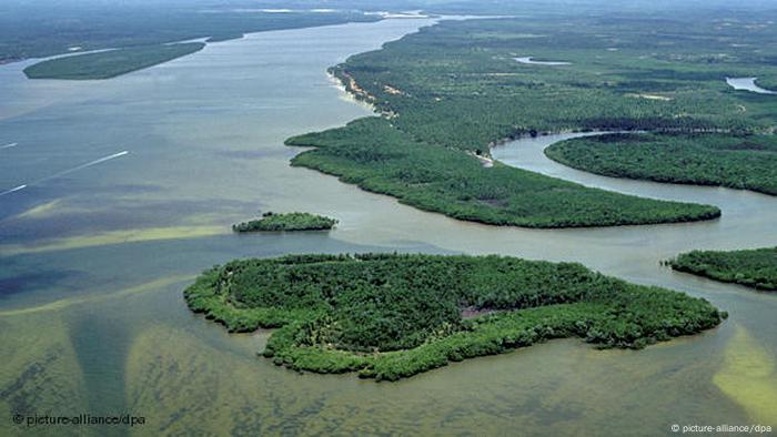 Senado aprova projeto que regula mercado de carbono no Brasil