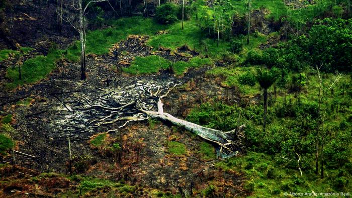 Ritmo do desmatamento na Amazônia cai e é o menor em 9 anos