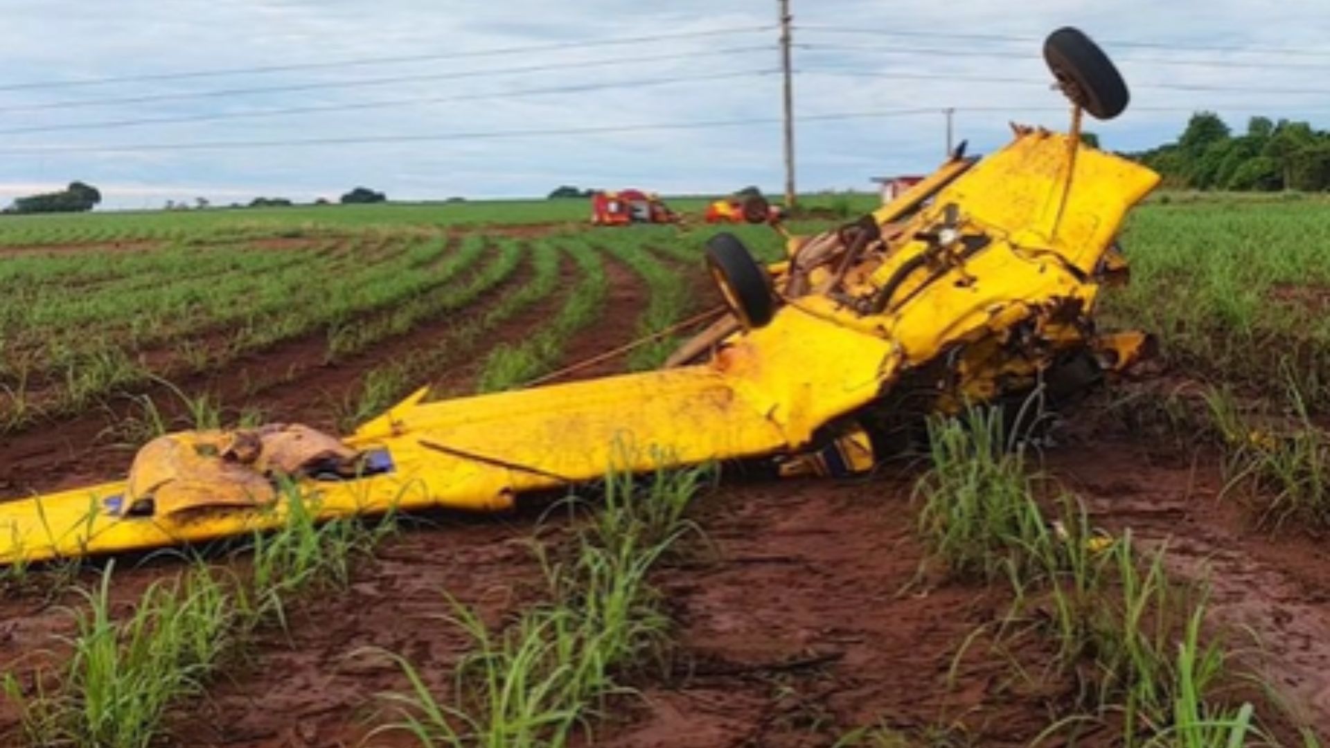 Avião de pequeno porte cai em fazenda em Goiás; piloto morre