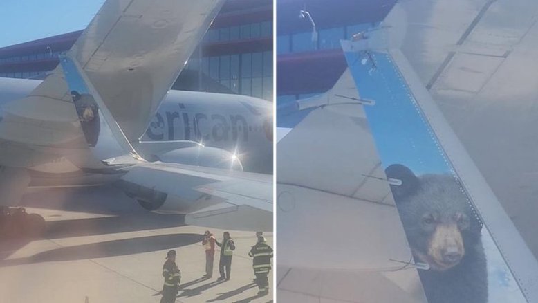 EUA: Pista do aeroporto de Boston registra duas colisões no mesmo dia
