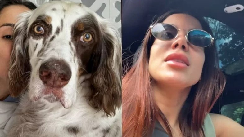 Anitta encontra seu cachorro