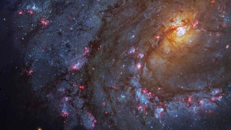 Horóscopo: saiba o que esperar para o seu signo nesta quarta-feira, dia 18