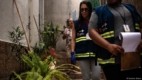 Nova variante do vírus da dengue deixa autoridades em alerta