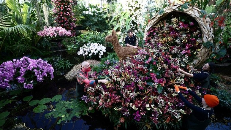 Peru é estrela em exposição de orquídeas no Jardim Botânico Real da Inglaterra