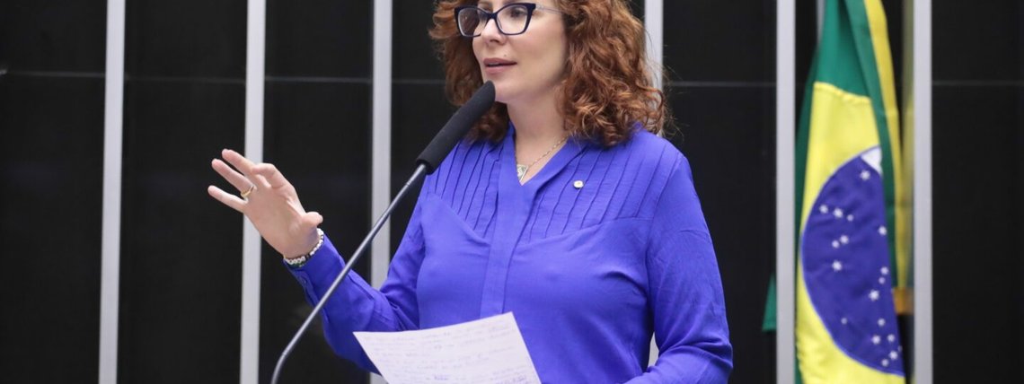 Bruno Spada/Câmara dos Deputados