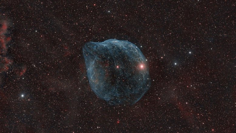 Soprada por ventos rápidos de uma estrela quente e massiva, essa bolha cósmica é enorme. Catalogada como Sharpless 2-308, ela fica a cerca de 5 mil anos-luz de distância, na direção da Constelação do Cão Maior. A estrela que criou a bolha, do tipo Wolf-Rayet, é o ponto brilhante perto do centro da nebulosa. As estrelas Wolf-Rayet têm mais de 20 vezes a massa do Sol e acredita-se que estejam em uma breve fase pré-supernova. A nebulosa soprada pelos ventos estelares tem cerca de 70 mil anos. Os átomos de oxigênio ionizados aparecem em tons de azul. Por conta do seu formato, SH2-308 também é conhecida como Nebulosa Cabeça de Golfinho