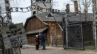 De Auschwitz ao TikTok, como os jovens aprendem sobre o Holocausto