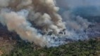 AFP PHOTO/GREENPEACE/VICTOR MORIYAMA