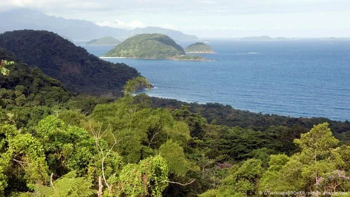 Desmatamento da Mata Atlântica avança em ritmo preocupante