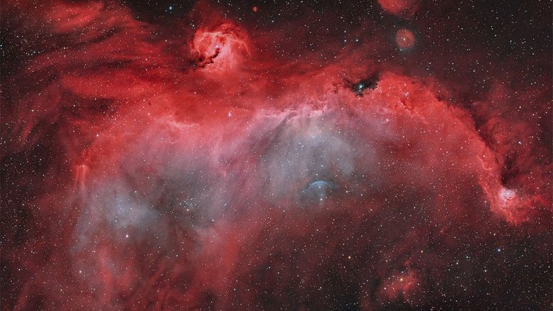 A Nebulosa da Gaivota, catalogada como Sh2-296 e IC 2177, recebeu este nome por conta do seu formato que remete ao de um pássaro, cobrindo uma faixa de 2,5 graus no plano da Via Láctea, na direção de Sírius, estrela Alfa da Constelação do Cão Maior. A região ainda inclui NGC 2327, uma nebulosa compacta de emissão e reflexão, cuja estrela massiva forma a cabeça do pássaro. O arco azulado representa um choque da estrela em fuga FN Canis Majoris. Dominado pelo brilho avermelhado do hidrogênio atômico, este complexo de nuvens de gás e poeira, junto a outras estrelas da associação Canis Majoris OB1, se estende por mais de 200 anos-luz a partir da distância estimada de 3,8 mil anos-luz da Nebulosa da Gaivota